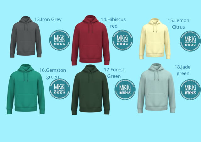 NS401 - Sweat-shirt écoresponsable à capuche unisexe