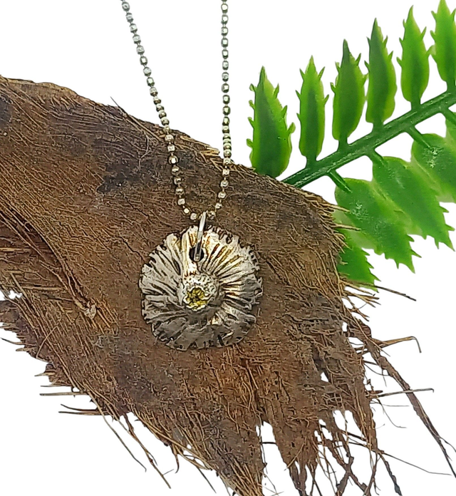 Delicate small silver daisy flower with a yellow accent