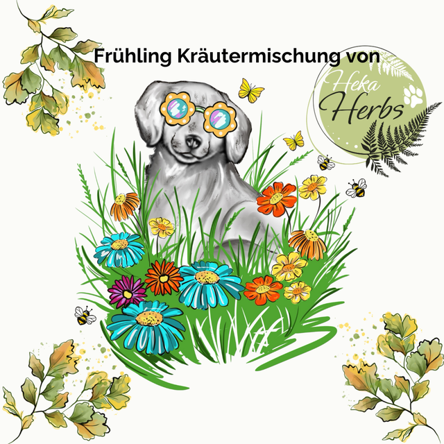 Frühling Kräutermischung