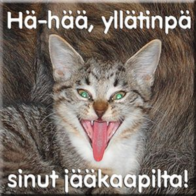 Magneetti "Hä-hää"