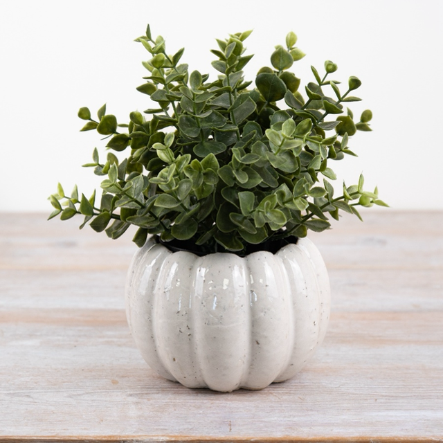 Ceramic Pumpkin Planter