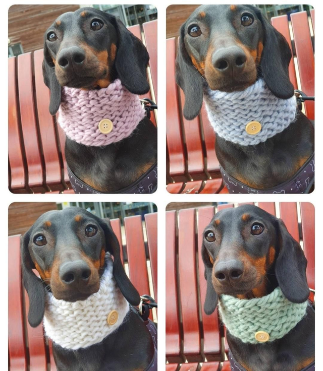 Pastel chunky knit snood