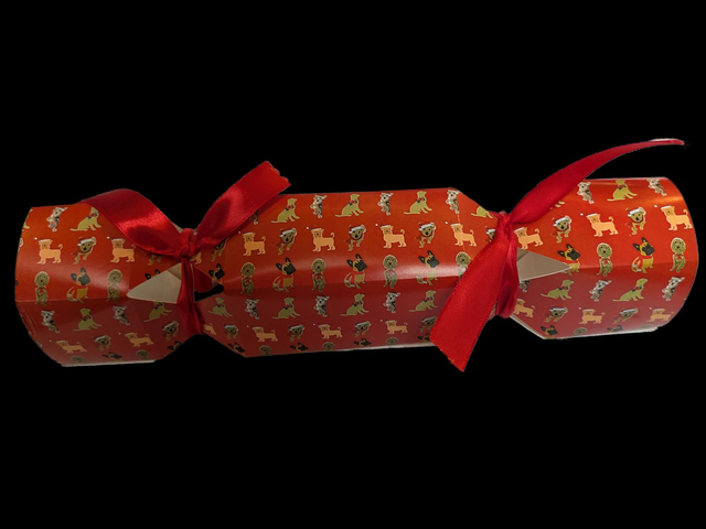 Dog Christmas Cracker ready for you to fill 