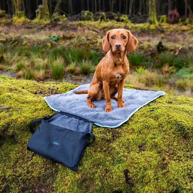 Henry Wag - Easy Roll Travel Bed