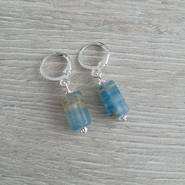 Damesoorbellen met Chalcedoon – Bruin-Blauw Edelsteen &amp; Zilverkleurig RVS (1.220)