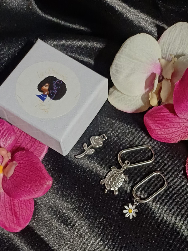 Interchangeables Argenté 