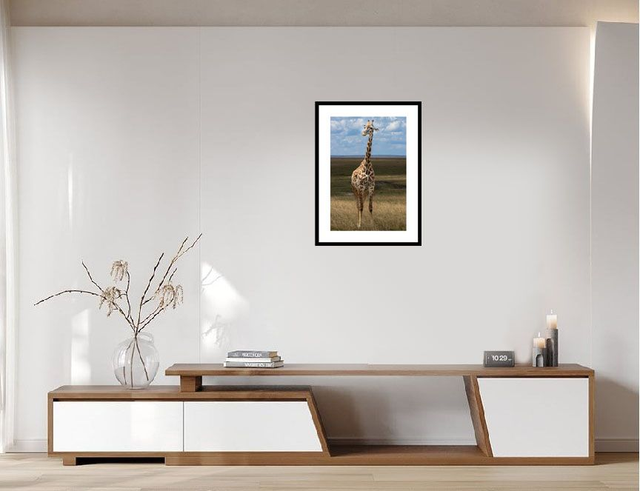 Girafe - réserve Masaï Mara - Kenya - ref: k-3165