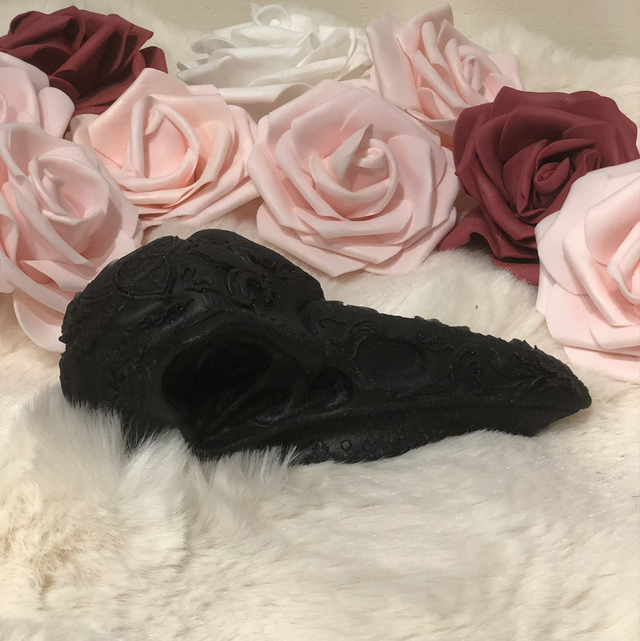 Crâne de corbeau 🐦‍⬛ relief 