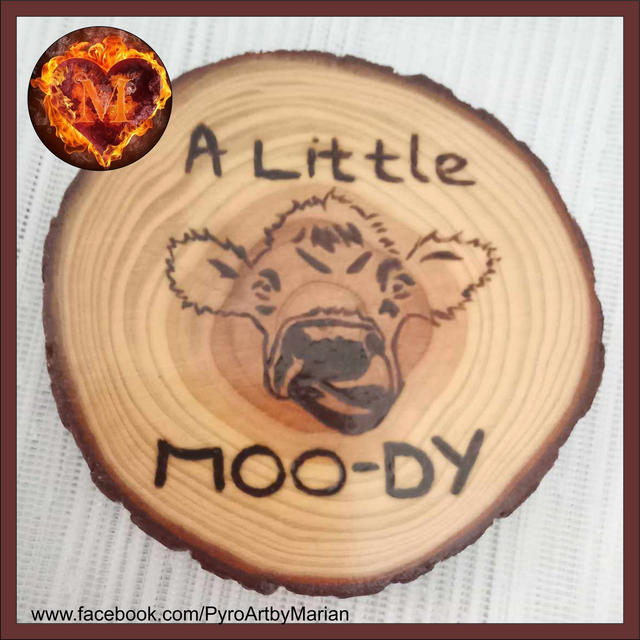 A Little Moo~dy! 🐄😂