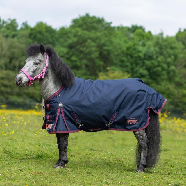 Gallop Ponie Turnout Rug 50g