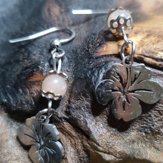 Hibiscus Pierre de Soleil 