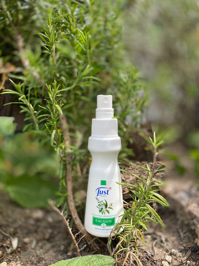 Eucasol Zerstäuber 75 ml