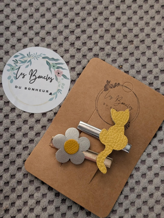 Barrette b072