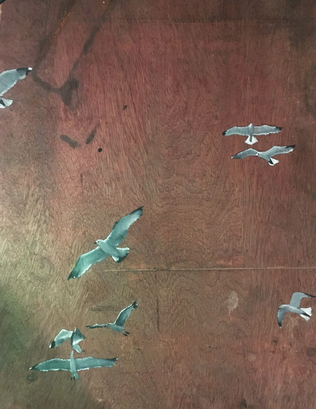 Charlie Steen - Gulls