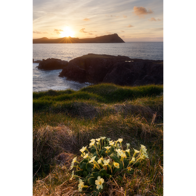 Three Sisters - An Triúr Deirféar