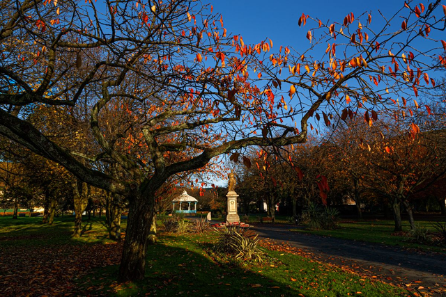 Talbot Memorial Park - Autumn