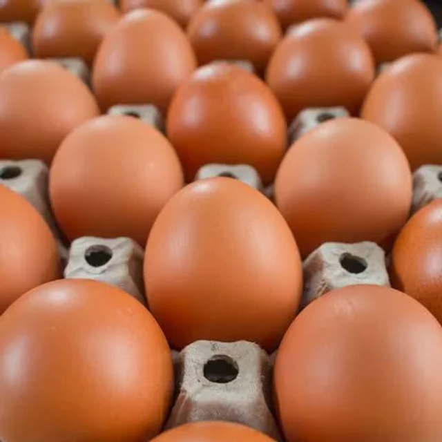 Free range eggs- large sizes 