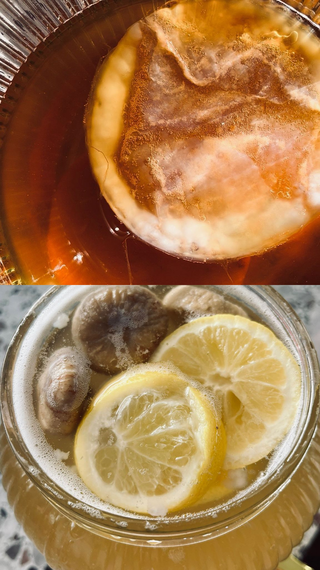 22/06 10h-12h KÉFIR & KOMBUCHA