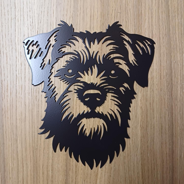 Steel Border Terrier