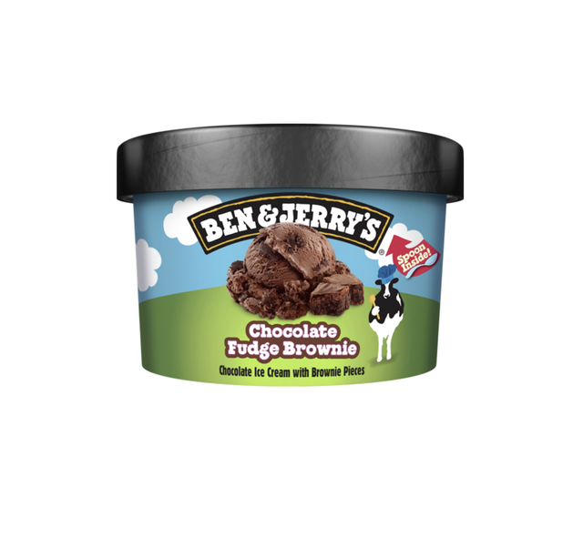 Ben & Jerry's Chocolate Fudge Brownie
