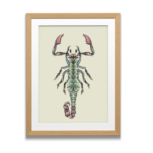 Art Print - Floral Bugs - Scorpion illustration