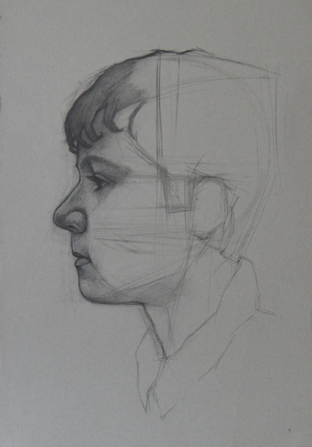 Cross profile study