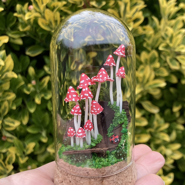 Champignons phosphorescent rouge sur écorce