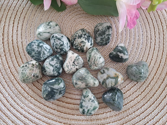 Pierre roulée agate arbre