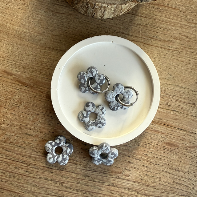 Anémone léo argenté