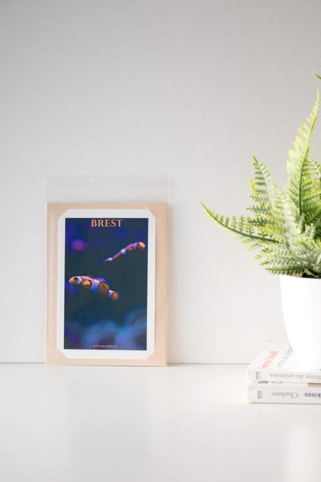 Brest, Oceanopolis - Affiches nommées - TIRAGE UNIQUE SIGNÉ