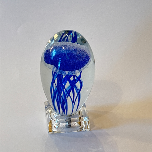 Paperweight Glas Qualle