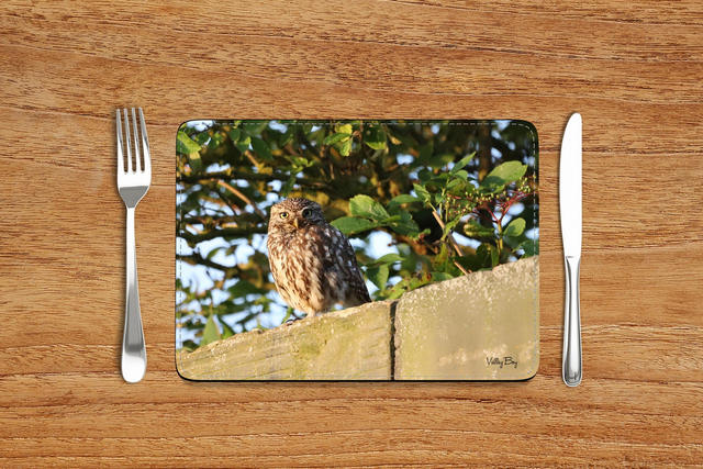 “Little Owl” Placemat