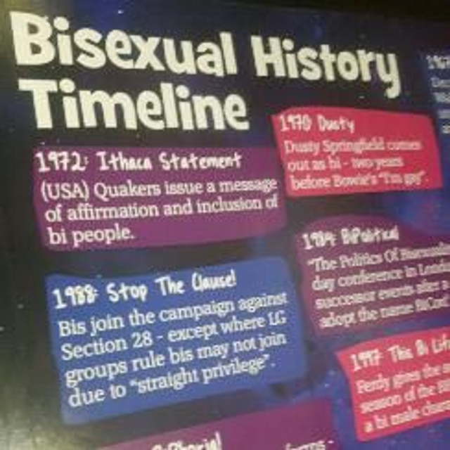 Bi History Poster