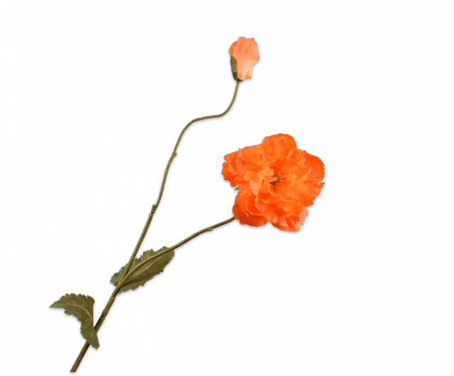 Silk-Ka Klaproos Licht Oranje 109cm