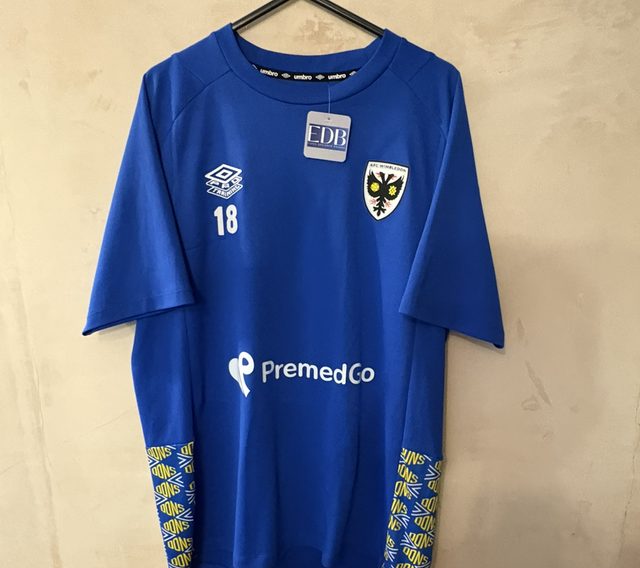 AFC Wimbledon Training Shirt 