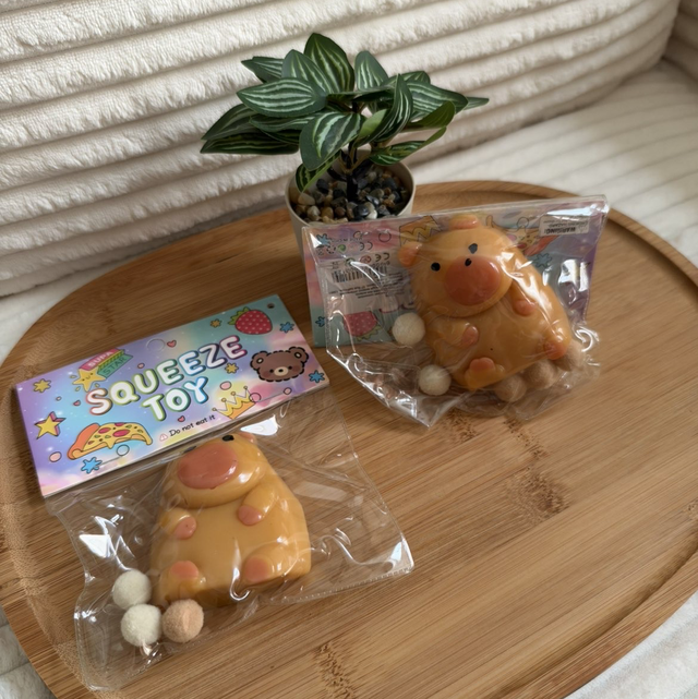 Squishy Capybara 