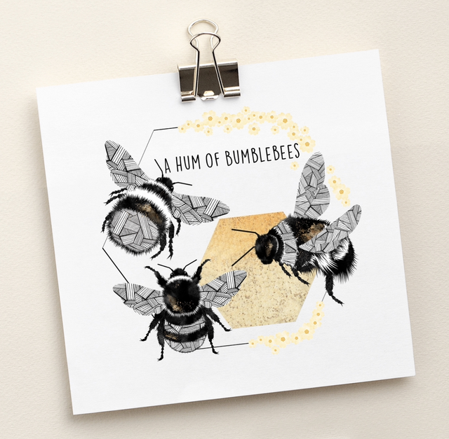 Hum of Bumblebees 