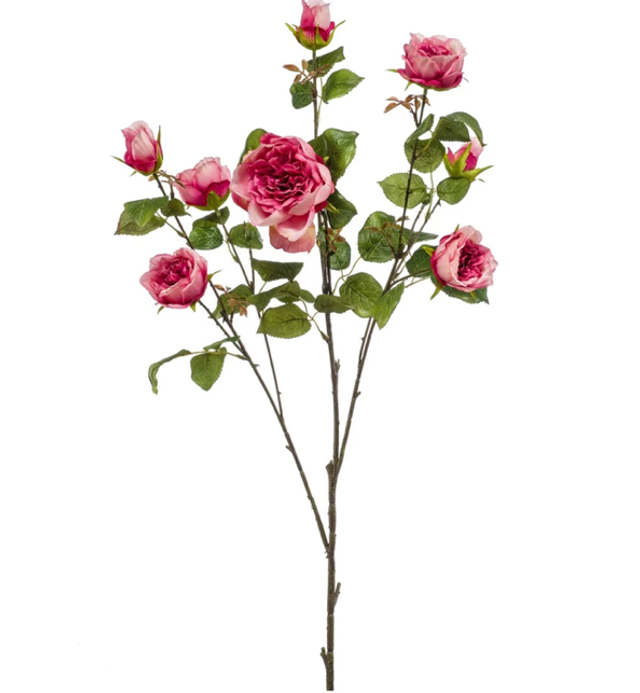 Rose london branch beauty 110cm