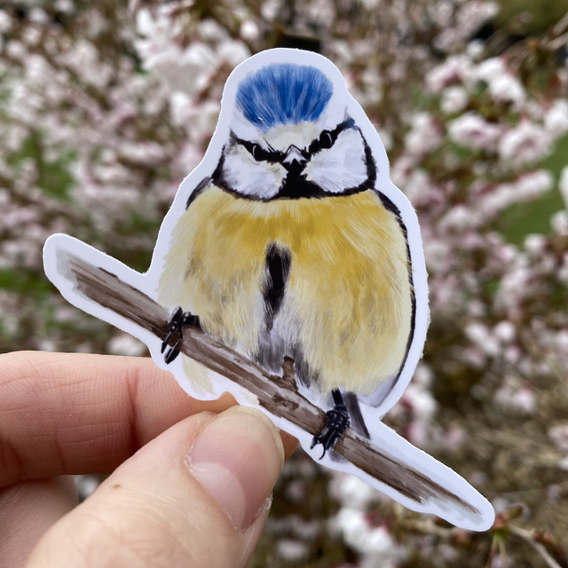 Sticker &quot;Mésange&quot; I