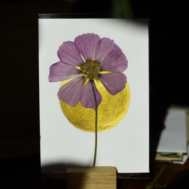 carte postale • cosmos