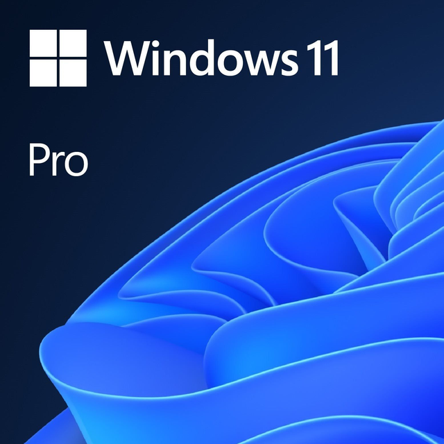 Windows 11 professional 