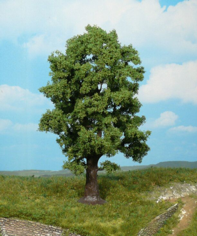 chêne 18cm Héki 1740