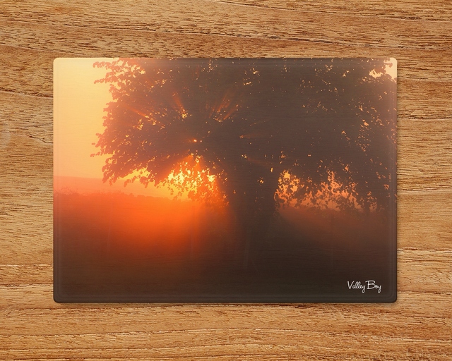 "Tree of Light" Glass Worktop Saver  
