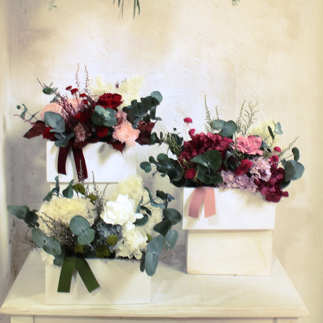 CL428 Caja blanca GARDENIA preservada