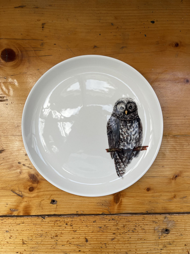 Teller Eule 24cm