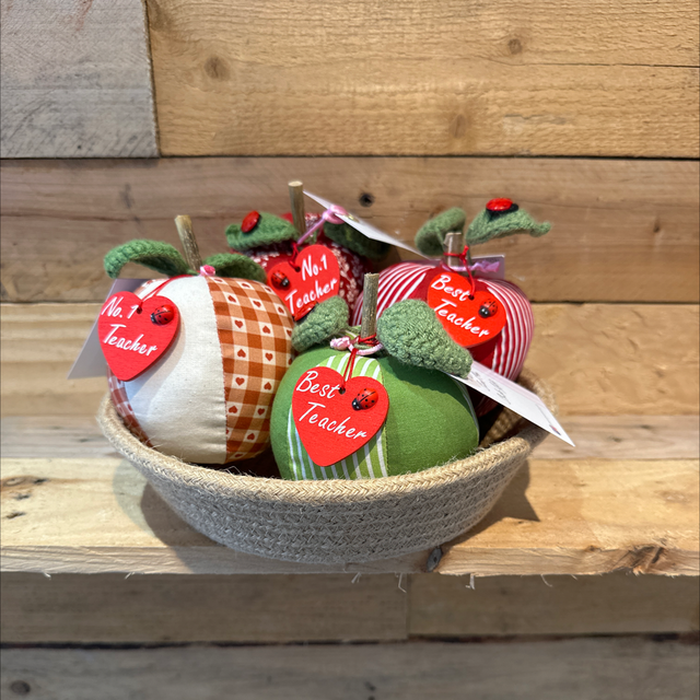 Apple Teacher Gift 