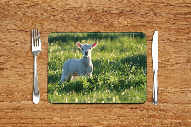 “Little Lamb” Placemat 