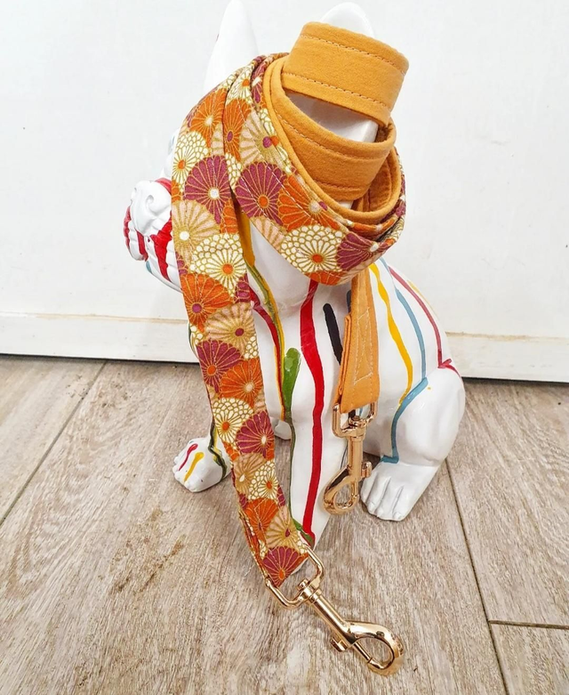 TIP_Laisse ◾️Aurange