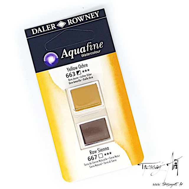DALER ROWNEY - AQUARELLE DEMI-GODETS par 2 - MARRON 663 & 667 - CA002663