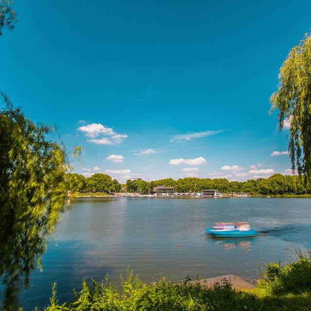 Sommerufer am Aasee
